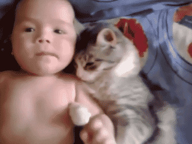 cat-and-baby-cuddling.gif